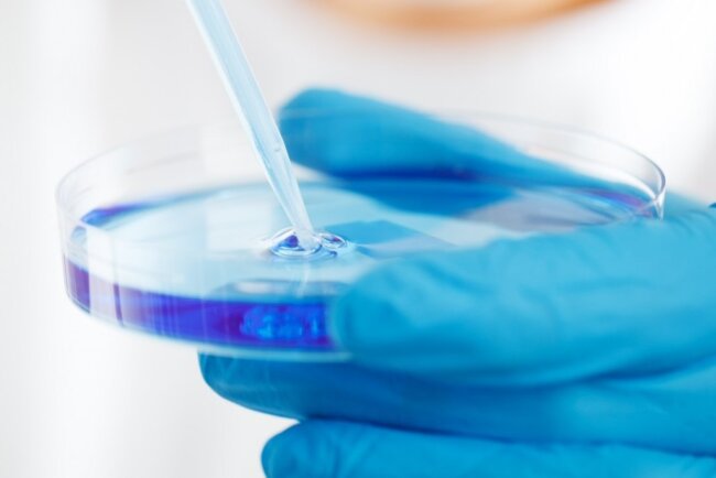 estudio-cientifico Estudio científico de foliculos capilares